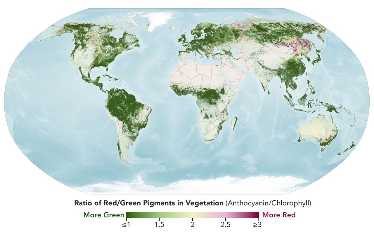 A similar global map depicts the redness of vegetation from October 5 to 11. The reddest areas have shifted equatorward, with more color visible in the Mid-Atlantic, the U.S. Southeast, southern Russia, China, and Mongolia.