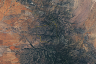 A satellite image shows Chiricahua National Park outlined in yellow amid mountainous terrain. Within the park, gray ridges are cut by green, vegetated canyons, two of which are labeled Bonita Canyon and Rhyolite Canyon. To the west, the land is flatter and redder with less vegetation.